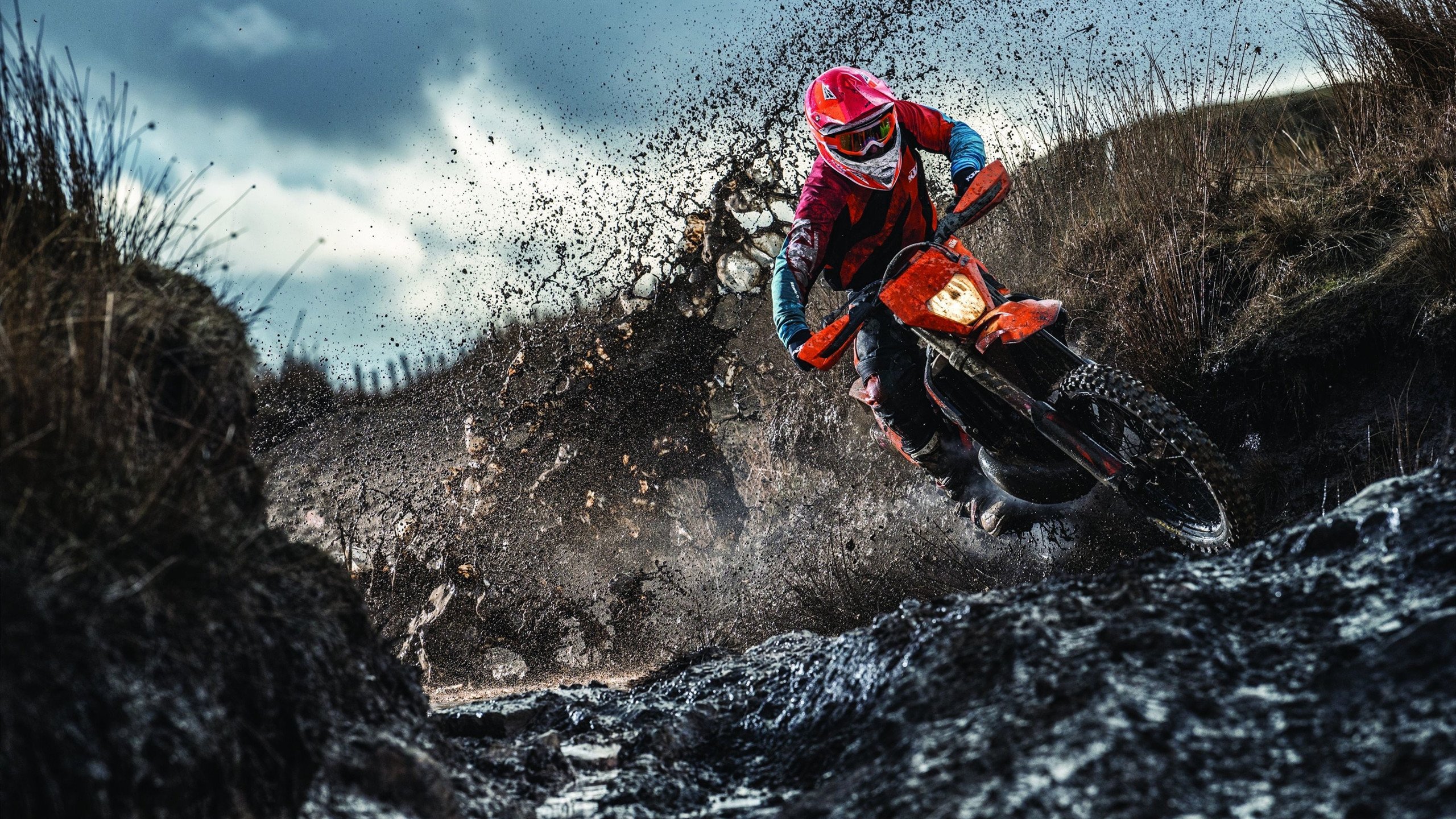 _运动员家庭支持：幕后温馨故事感动人心_，运动员 家境